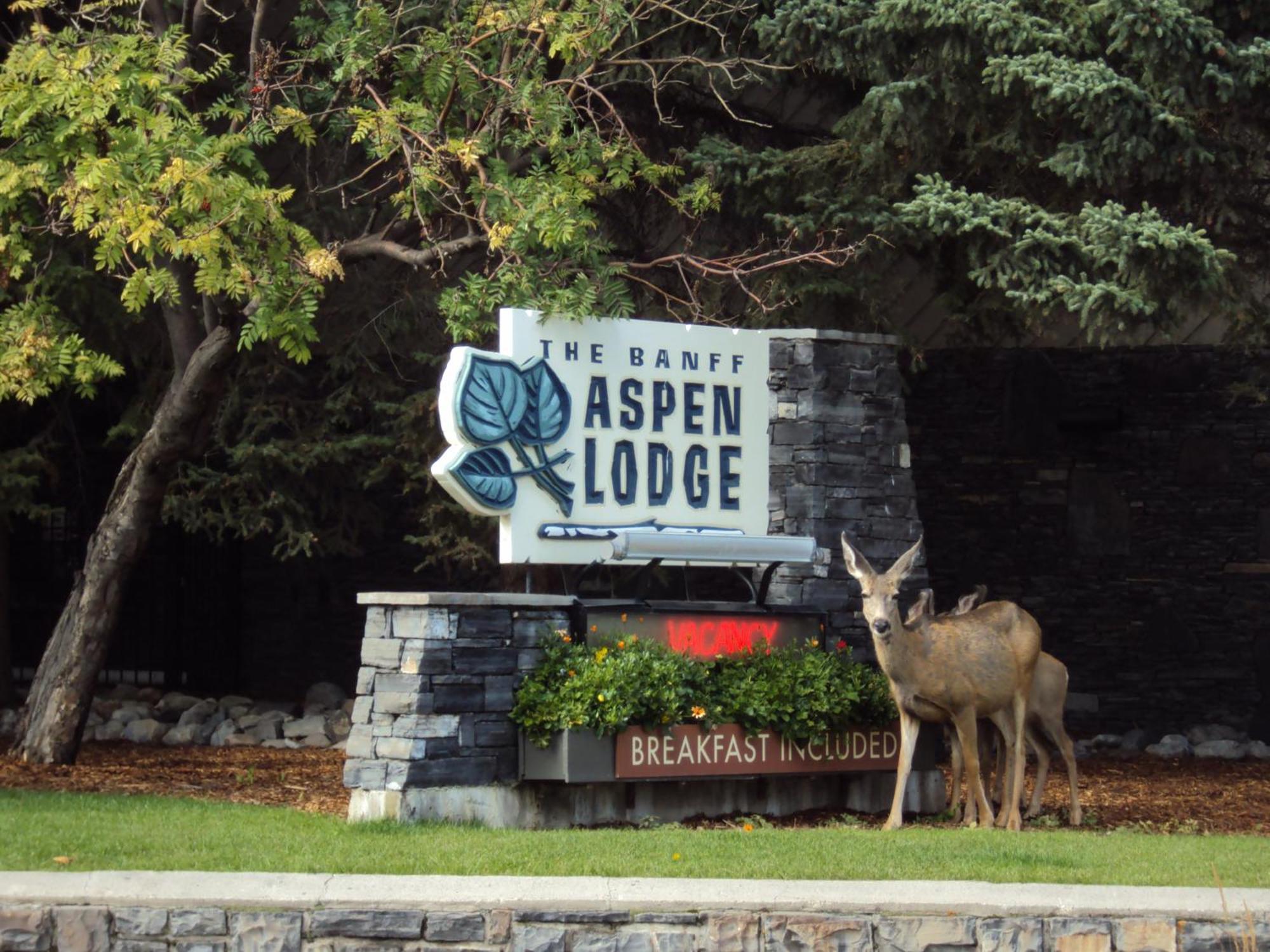Banff Aspen Lodge Exteriér fotografie